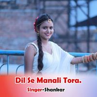 Shankar - Dil Se Manali Tora.