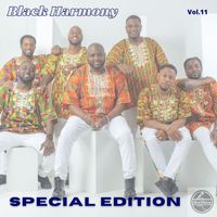 Black Harmony - Special Edition, Vol. 11