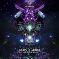 Various Artist - Psychedelic Portal Vol.2