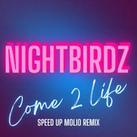 NIGHTBIRDZ - Come 2 Life (Speed Up Molio Remix)