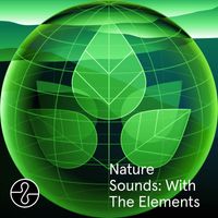 Endel - Nature Sounds: With The Elements (Ocean, Rain, Forest)