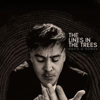 David O'Dowda - The Lines in the Trees