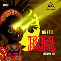 Dr Feel - Tribal Drums