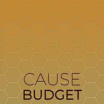 Various Artists - Cause Budget
