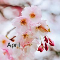 Four Seasons - April