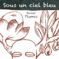 Xavier Plumas - Sous un ciel bleu (Edit Version)