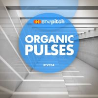 Sam Taylor - Organic Pulses