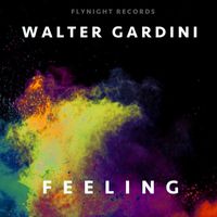 Walter Gardini - Feeling
