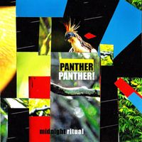 Panther Panther! - Midnight Ritual