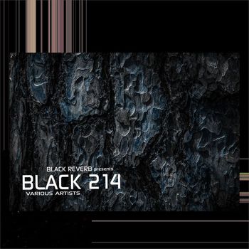 Various Artists - Black 214