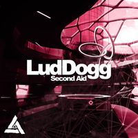 LudDogg - Second Aid