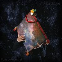 Birdzzie - Futuro Ancestral