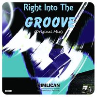 Pimlican - Right Into The Groove