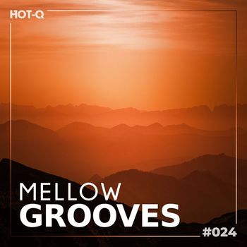 Various Artists - Mellow Grooves 024 (Explicit)