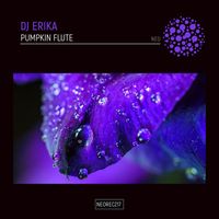 DJ Erika - Pumpkin Flute