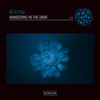 DJ Erika - Wandering In The Dark