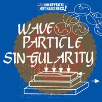 Wave Particle Singularity - Jungian Therapy