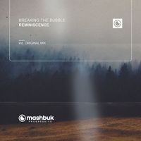 Breaking the Bubble - Reminiscence