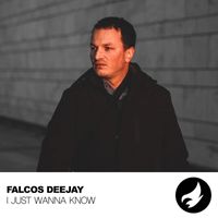 Falcos Deejay - I Just Wanna Know
