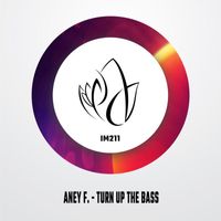 Aney F. - Turn Up The Bass