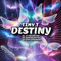 Tiny T - Destiny