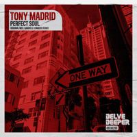 Tony Madrid - Perfect Soul