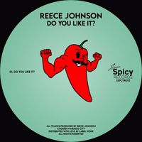 Reece Johnson - Do You Like It?