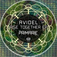 Avidel - Rise Together EP