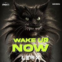 Lem-X - Wake Up Now (Explicit)