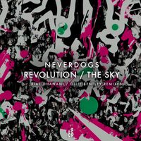 Neverdogs - Revolution / The Sky
