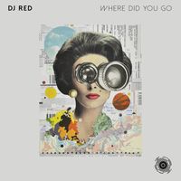 DJ Red - Where Did You Go
