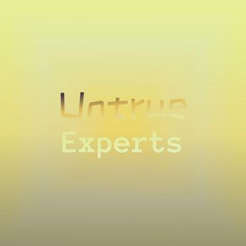 Various Artists - Untrue Experts