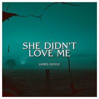 James Doyle - She Didn’t Love Me (Explicit)