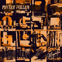 Mister Pollen - Magnolia
