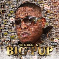 Big Pup - The Best of Big Pup (Explicit)