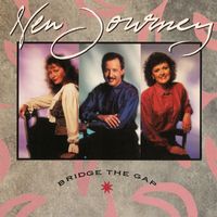 New Journey - Bridge The Gap
