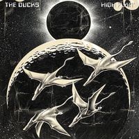 The Ducks - High Flyin' (Live)