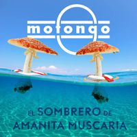 Mofongo - El Sombrero De Amanita Muscaria