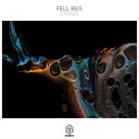 Fell Reis - Cygnus