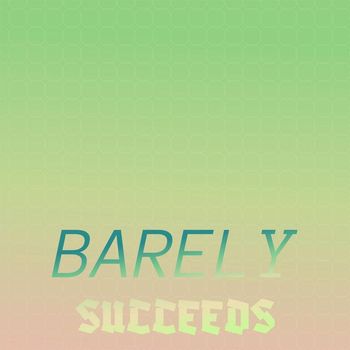Various Artists - Barely Succeeds