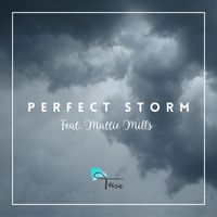 Tavia - Perfect Storm (feat. Mattie Mills)