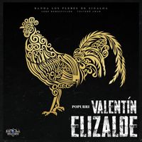 Banda Los Plebes De Sinaloa - Popurri Valentin Elizalde - Volveré a Amar