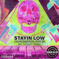 Stayin Low - Environmental Risk EP