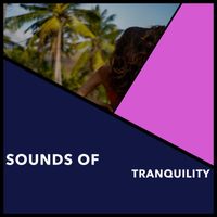 Relaxing Chill Out Music - Sounds Of Tranquility