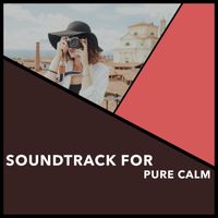 Relaxing Chill Out Music - Soundtrack For Pure Calm