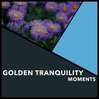 Relaxing Chill Out Music - Golden Tranquility Moments