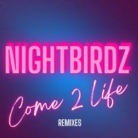 NIGHTBIRDZ - Come 2 Life (Remixes)