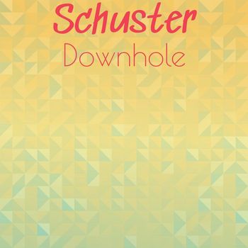 Various Artists - Schuster Downhole