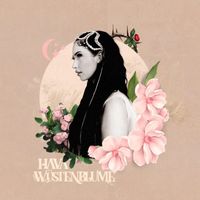 Hava - Wüstenblume