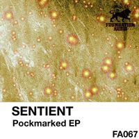 Sentient - Pockmarked EP